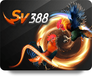 So Sánh Kèo Châu Á Tại Hi88 Với Các Nhà Cái Khác